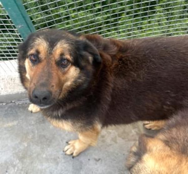 Raya, wartet schon ihr ganzes Leben (8J)