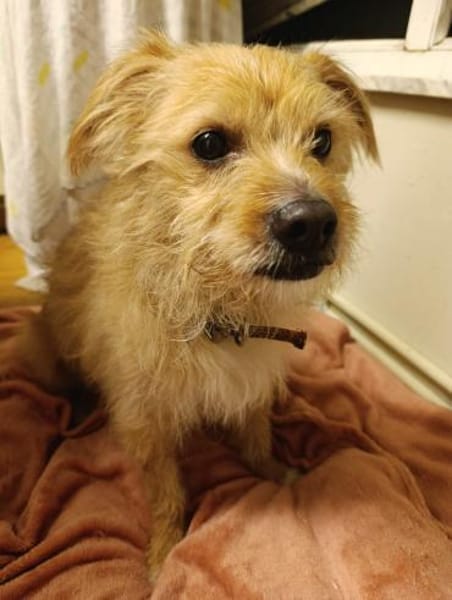 Roger sucht dringend Familenanschluß