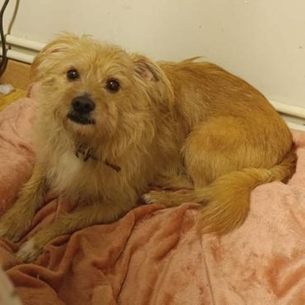 Roger sucht dringend Familenanschluß