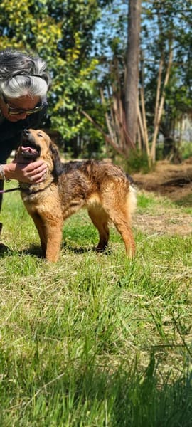 Roma 🧡 in Deutschland in Pflegestelle