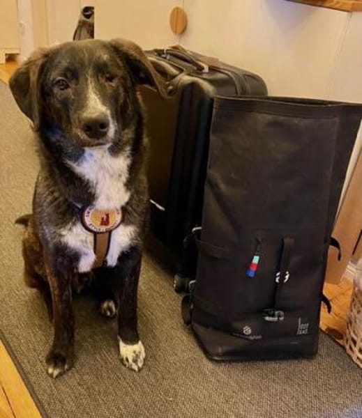 Scotty wünscht sich so sehr eine Familie