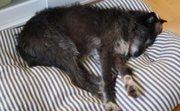 Kämpferin Wanda wartet auf ihre Familie