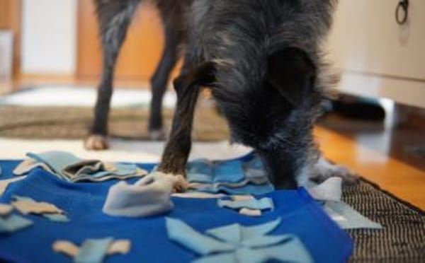 Kämpferin Wanda wartet auf ihre Familie