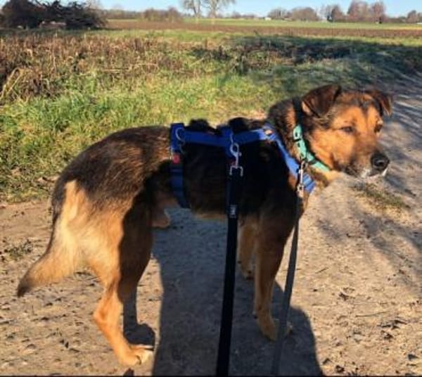 ATHOS -Liebevoll & verschmust-