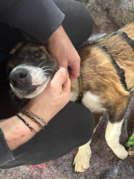 Racker sucht sein Zuhause