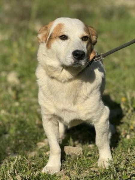 Bambam - kleine aber fein