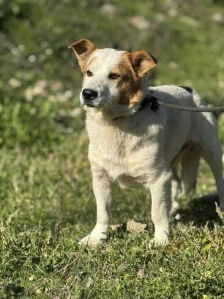 Bambam - kleine aber fein