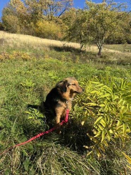 Lebensfreude pur- Tilly