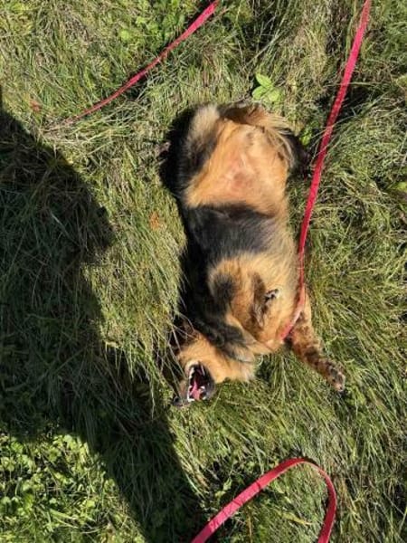 Lebensfreude pur- Tilly