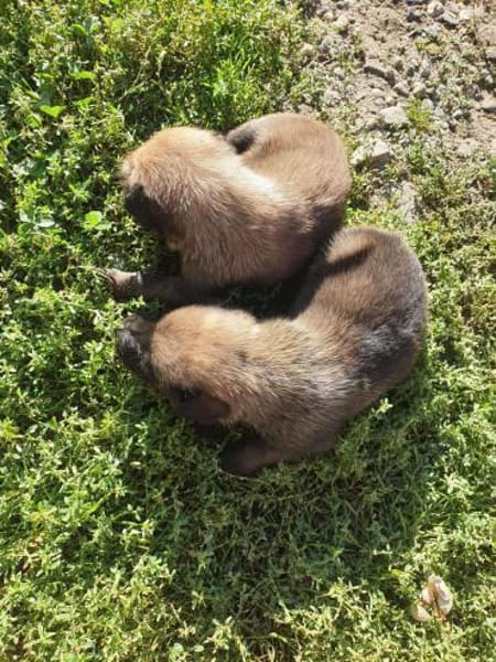 Sokrates sucht verständnisvolle Hände