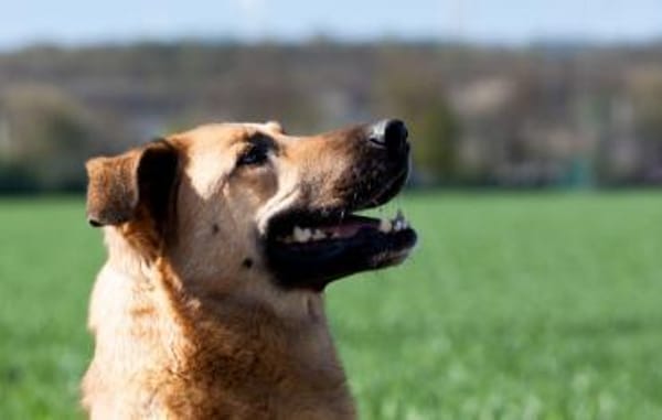 Alma - menschenbezogen und fröhlich