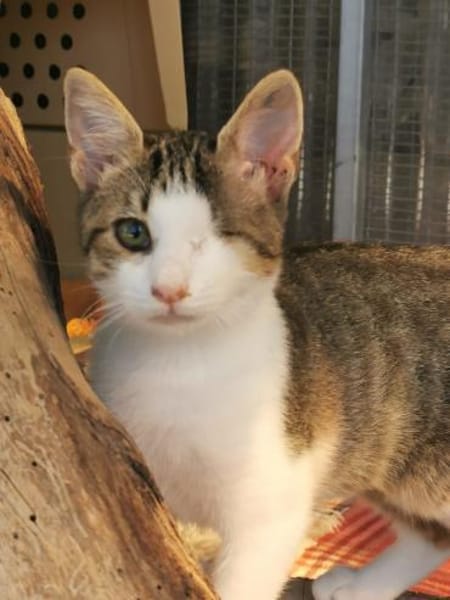 Unsere süßen Geschwisterchen Liv + Vidar