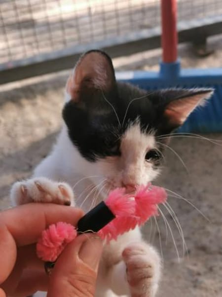 Unsere süßen Geschwisterchen Liv + Vidar