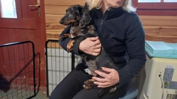 Timmy sucht einfühlsame Menschen