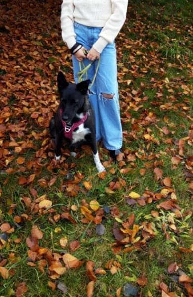 JOY wartet auf Euch in 96361 Steinbach