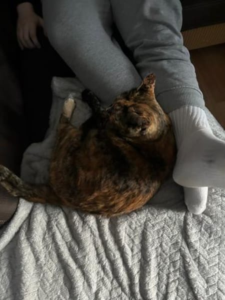 Einzelprinzessin NOVA will Ankommen