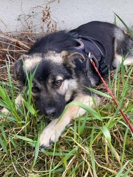 SUGAR - süß wie Zucker