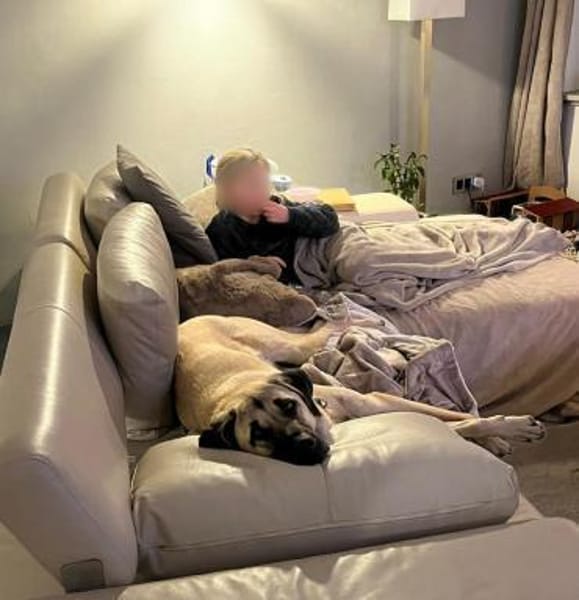 Ziggy - cool und gelassen und freundlich