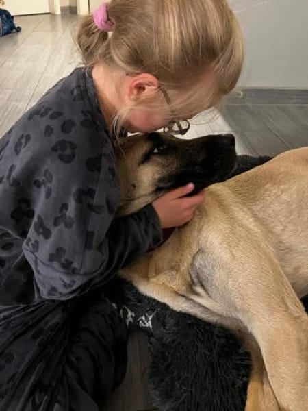 Ziggy - cool und gelassen und freundlich