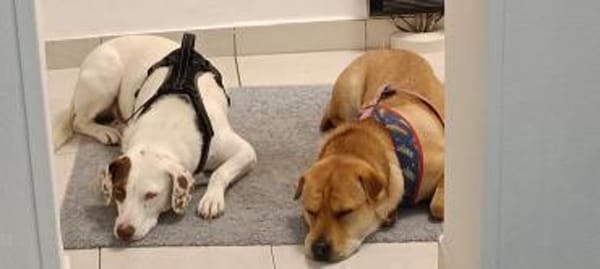 Mona - zu Kindern ab dem Schulalter