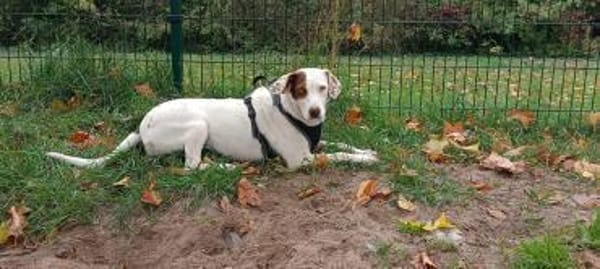 Mona - zu Kindern ab dem Schulalter