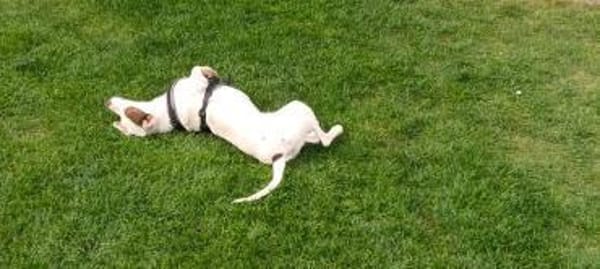 Mona - zu Kindern ab dem Schulalter