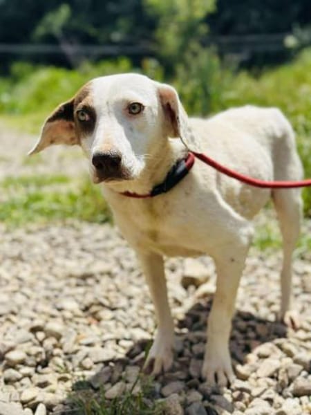 Mona - zu Kindern ab dem Schulalter