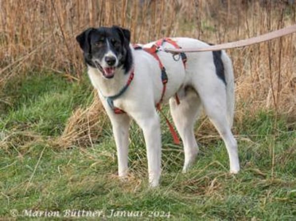 Elliot ist sensibel und unsicher