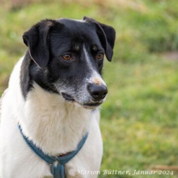 Elliot ist sensibel und unsicher