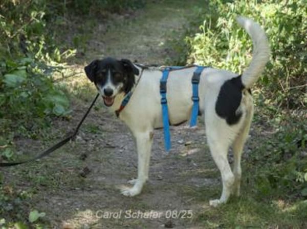 Elliot ist sensibel und unsicher