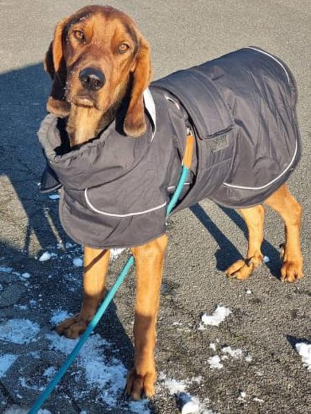 Pluto aus 04357 Leipzig