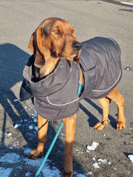 Pluto aus 04357 Leipzig