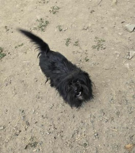 TEA - (liebevoll, lebensfroh)