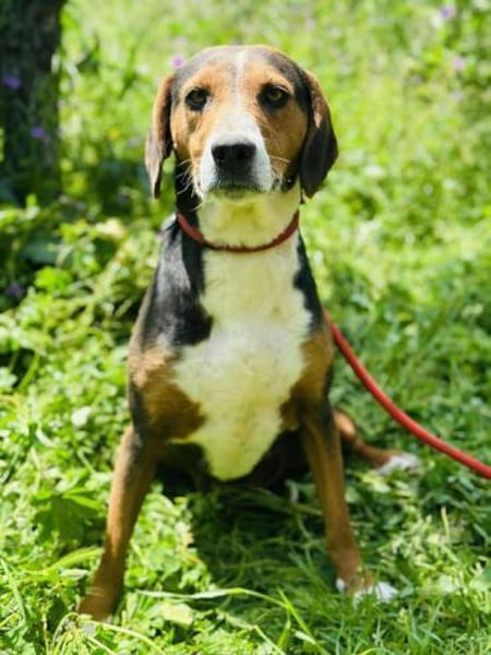 Skyla - absolut unkompliziert