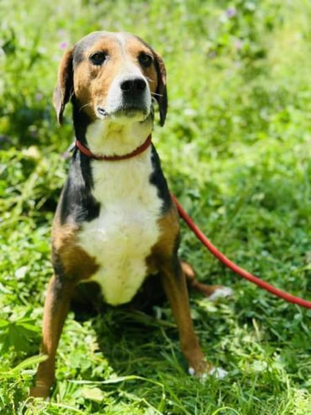 Skyla - absolut unkompliziert