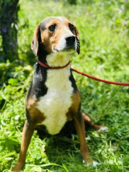 Skyla - absolut unkompliziert