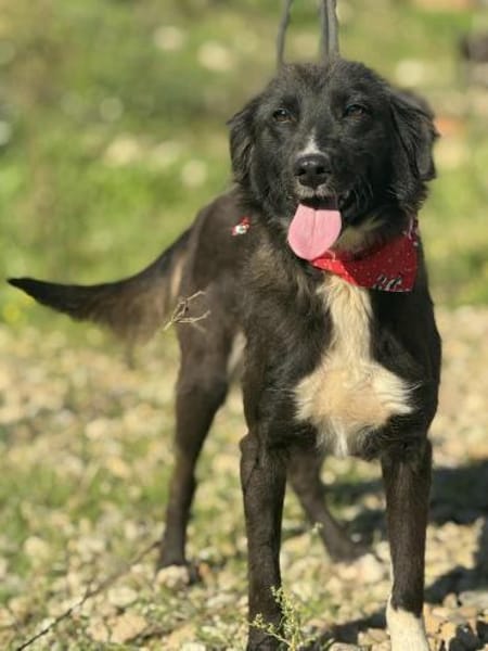 Nayla _ gerne in eine Familie