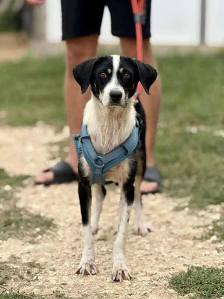 Celine - eine kleine Schönheiut