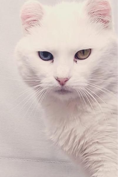 Frieda und Mona zwei Geschwister