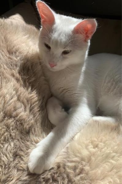 Frieda und Mona zwei Geschwister