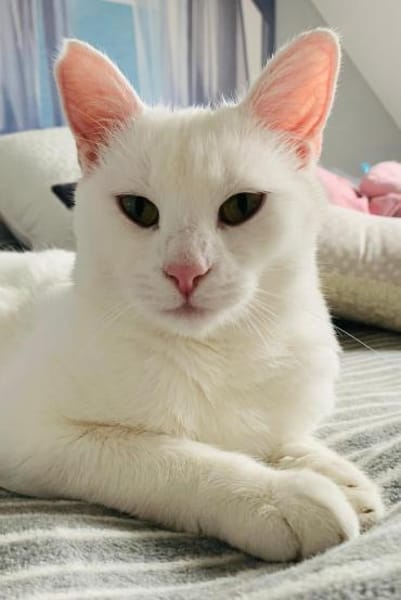 Frieda und Mona zwei Geschwister