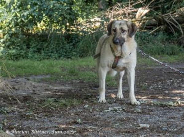 Chepi sucht standfeste Menschen