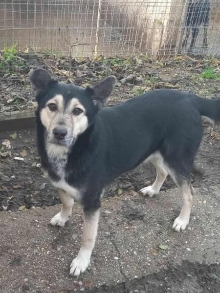 NOUMAYA ist auf PS in 65606 Villmar