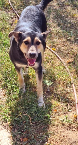 NOUMAYA ist auf PS in 65606 Villmar