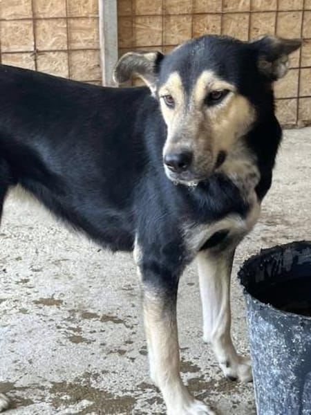 NOUMAYA ist auf PS in 65606 Villmar