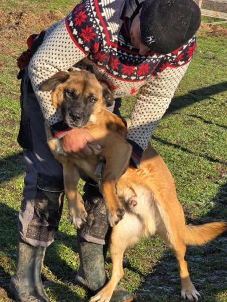 THORE jetzt auf PS in 50170 Kerpen