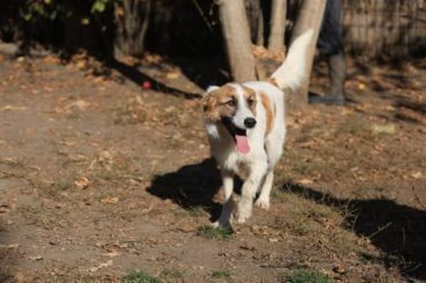 Wer schenkt dem hübschen Jaron sein Herz