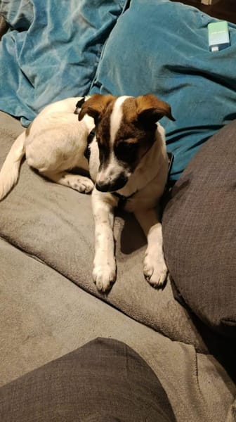 Dora. Lieblingsmenschen gesucht