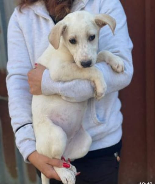 Ambra sucht ein Körbchen  🥰