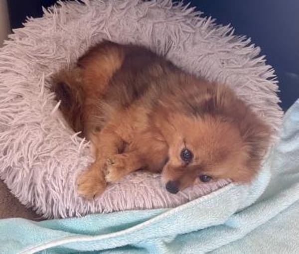 Bertha in 42859 Remscheid